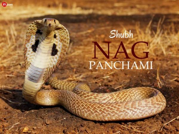 Nag Panchami 2018 Whatsapp Profile