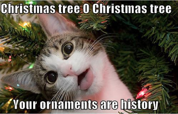Christmas Tree O Christmas Tree Your Ornaments Are History Funny Christmas Memes 2017