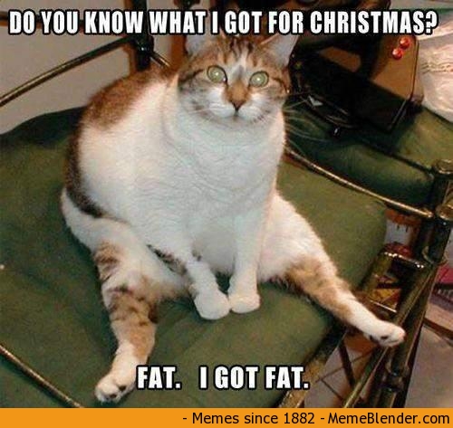 Do You Know What I Got For Christmas Fat I Got Fat Funny Merry Xmas Memes