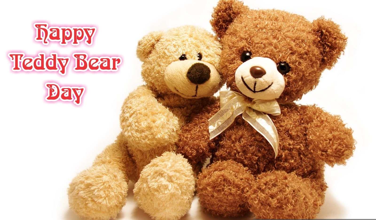 Image result for HAPPY TEDDY DAY